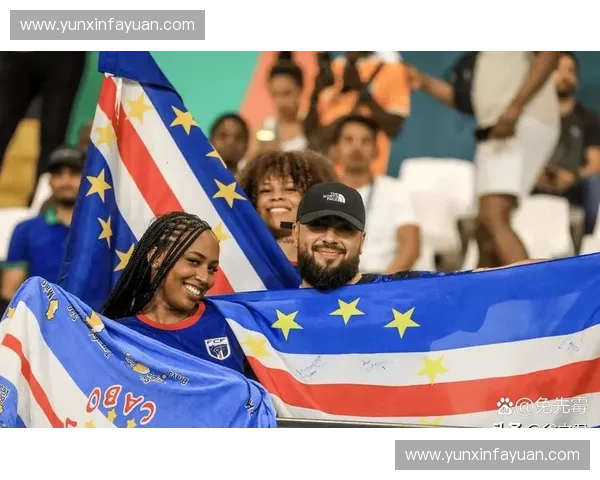 非洲世界杯精彩回顾与未来展望 聚焦非洲足球崛起的全新篇章